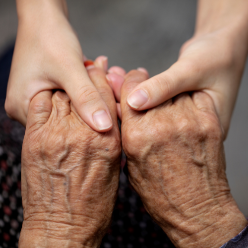 Masaje Relajante para Adultos Mayores en Tepic